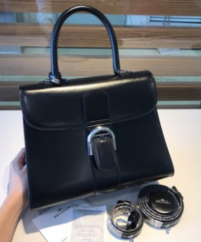 델보 브리앙 박스백 미듐